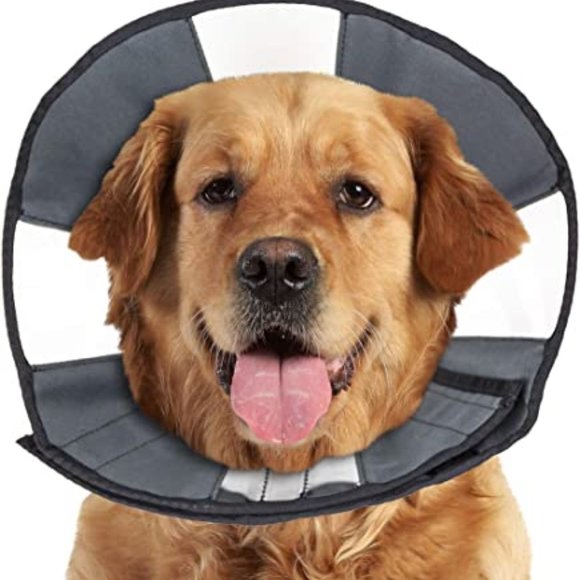 Zen Pet ZenCone Soft Recovery Collar - Picture 1 of 4